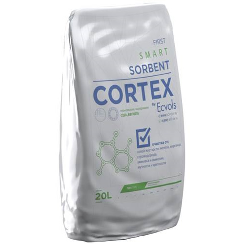 Cortex B
